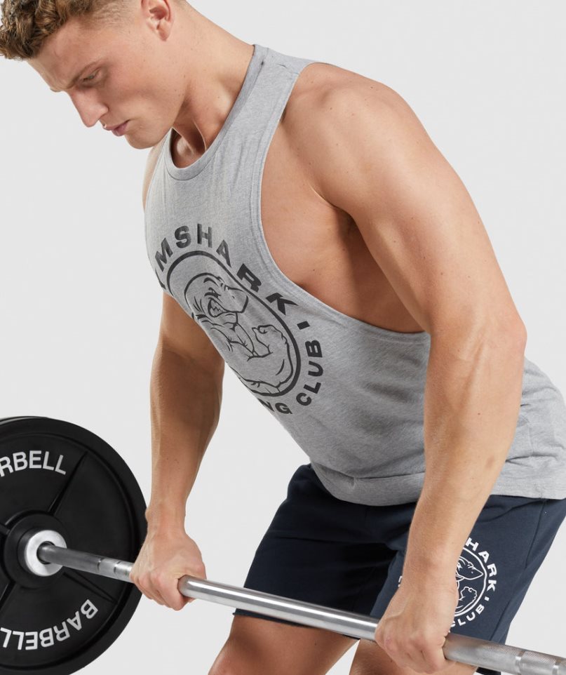 Podkoszulki Gymshark Legacy Drop Arm Męskie Głęboka Szare | PL 082RAV